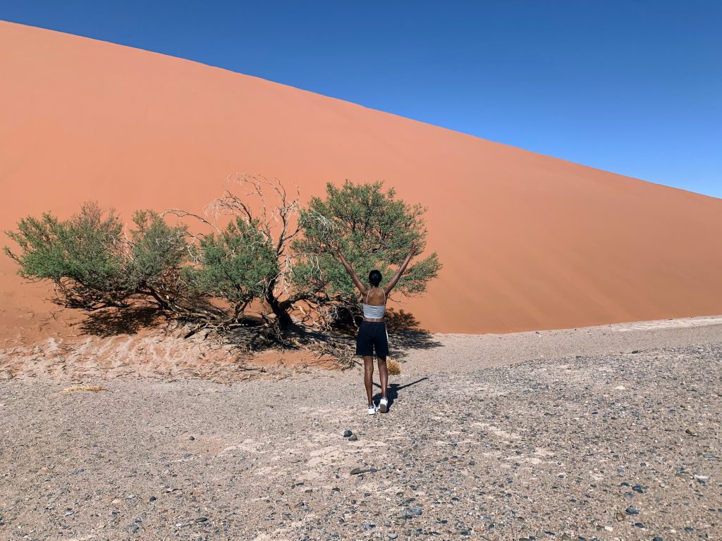 Namib desert