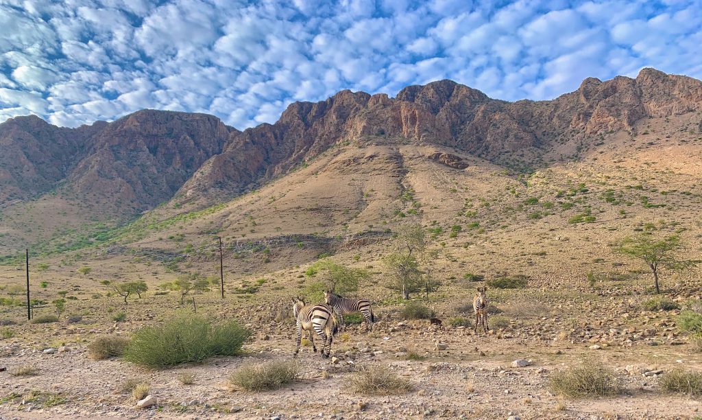 The Land of the Brave- Namibia